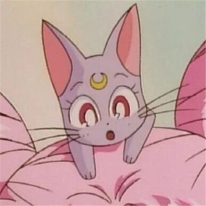 国内黄色精品手机视频
